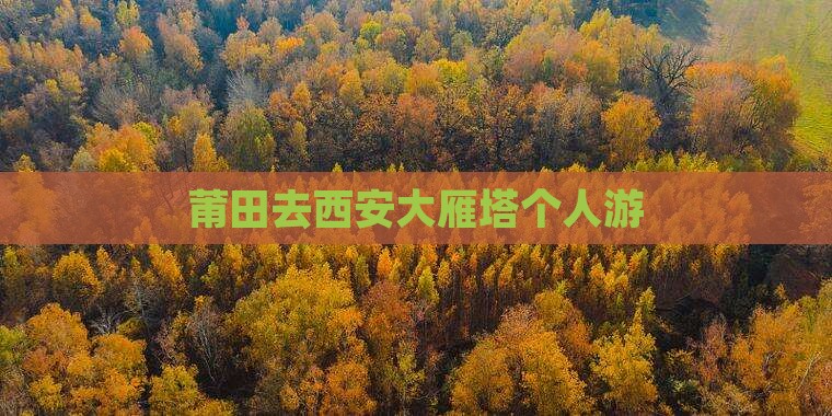 莆田去西安大雁塔个人游