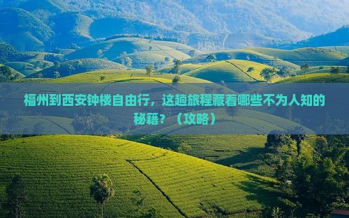 福州到西安钟楼自由行
