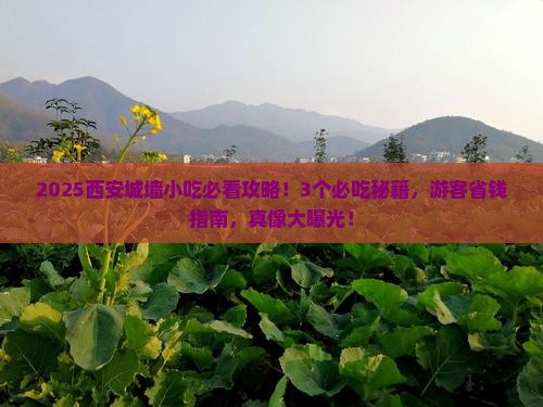 普洱去西安城墙旅游小吃