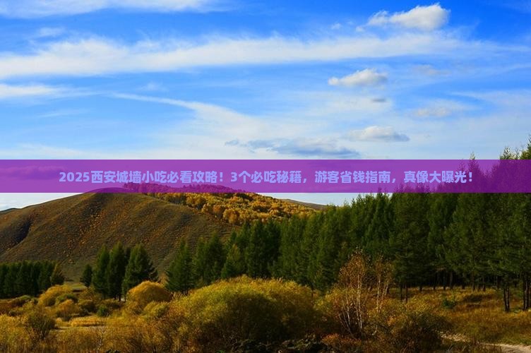 普洱去西安城墙旅游小吃