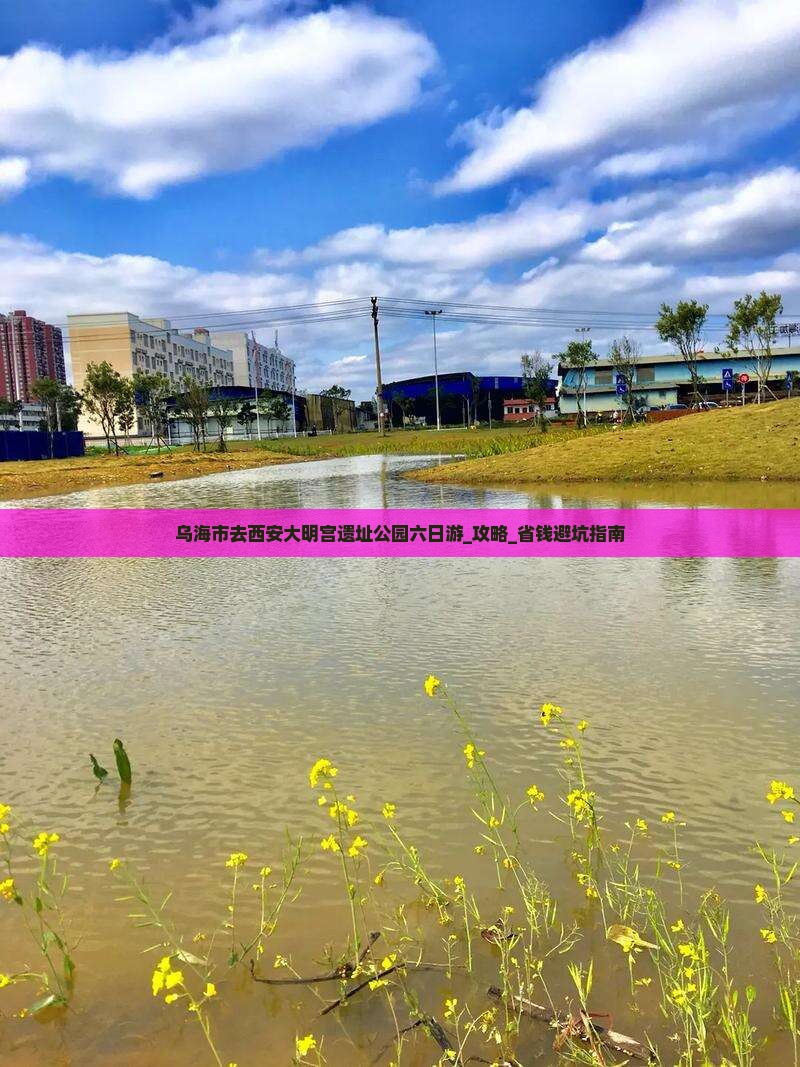 乌海市去西安大明宫国家遗址公园六日游