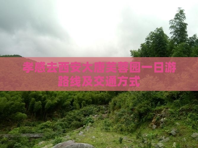 孝感去西安大唐芙蓉园一日游