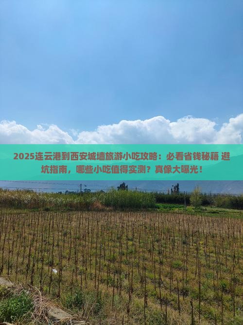 连云港到西安城墙旅游小吃