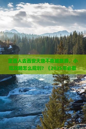 定西到西安大唐不夜城旅游小吃
