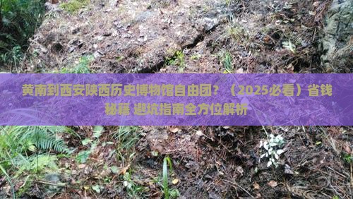 黄南到西安陕西历史博物馆自由团