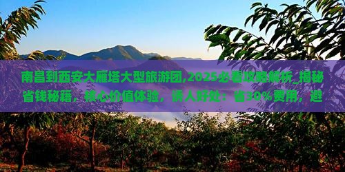 南昌到西安大雁塔大型旅游团