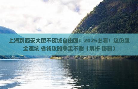 上海到西安大唐不夜城自由团