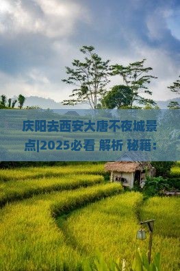 庆阳去西安大唐不夜城景点