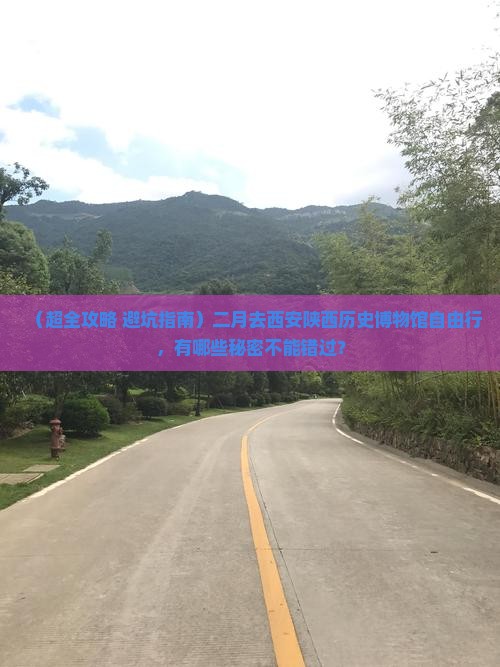 二月到西安陕西历史博物馆自由团