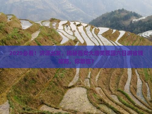济源到西安大唐芙蓉园六日游