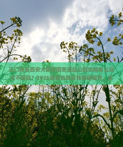 三门峡去西安大明宫国家遗址公园攻略