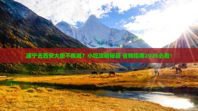 遂宁到西安大唐不夜城旅游小吃