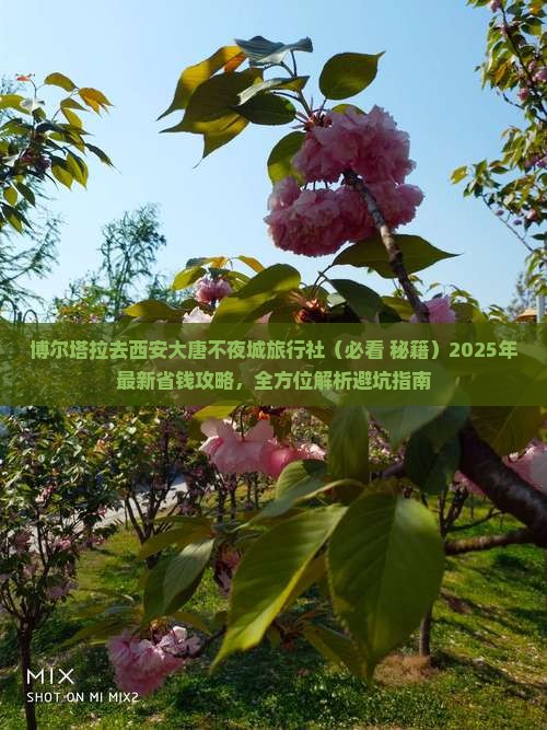 博尔塔拉去西安大唐不夜城旅行社