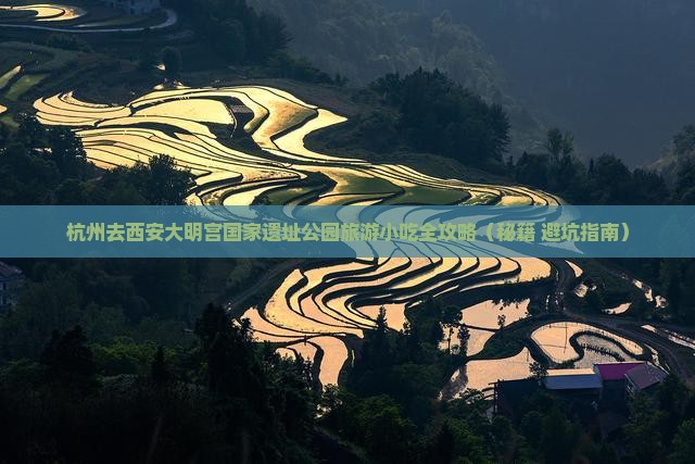 杭州去西安大明宫国家遗址公园旅游小吃
