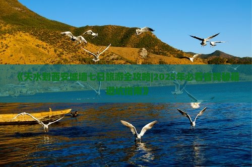 天水去西安城墙七日游