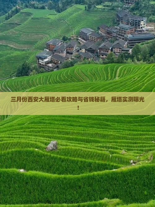 三月去西安大雁塔景点