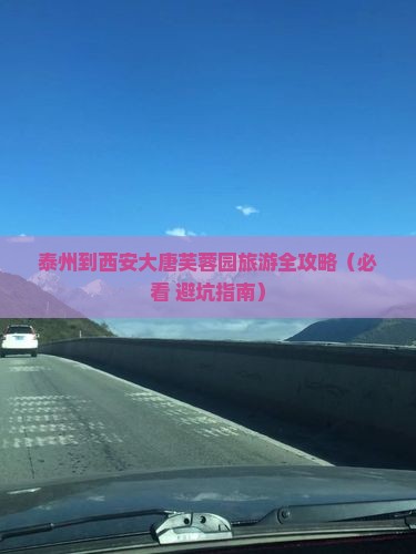 泰州去西安大唐芙蓉园团体旅游