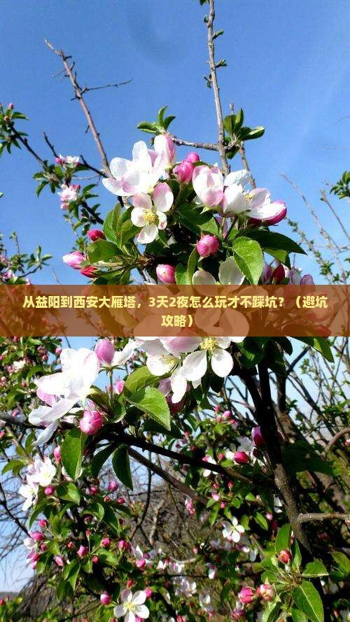 益阳到西安大雁塔景点