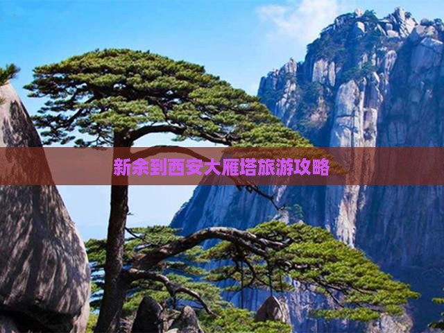 新余到西安大雁塔景点