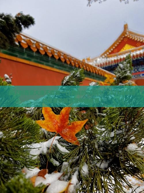 通辽到西安大唐不夜城一日游