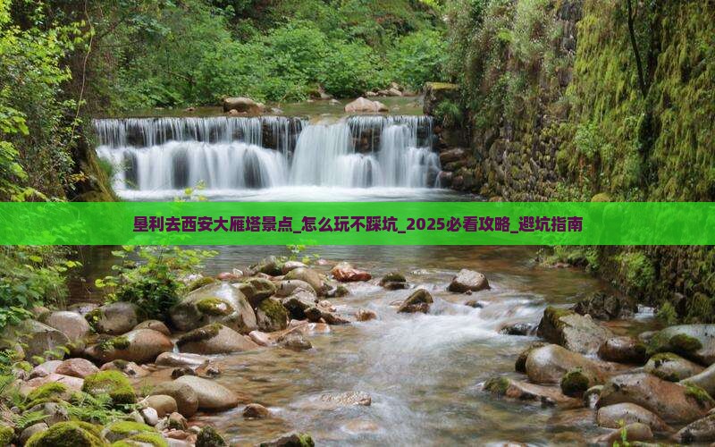 垦利去西安大雁塔景点