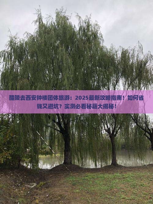 醴陵去西安钟楼团体旅游