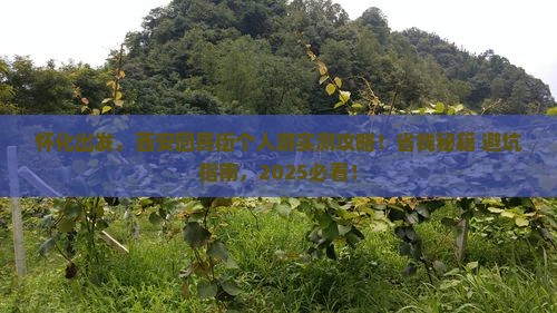 怀化到西安回民街个人游