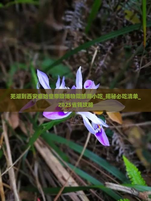 芜湖到西安秦始皇帝陵博物院旅游小吃