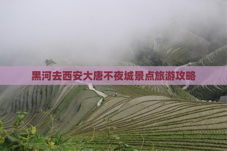 黑河去西安大唐不夜城景点