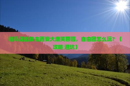 驻马店去西安大唐芙蓉园自由团