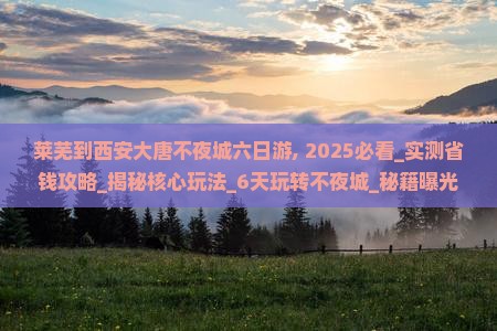 莱芜到西安大唐不夜城六日游