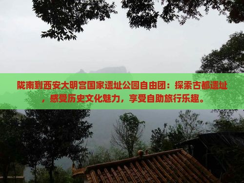 陇南到西安大明宫国家遗址公园自由团
