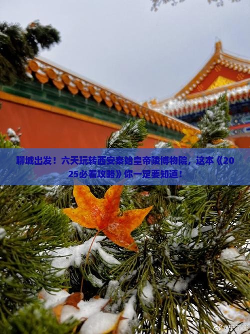 聊城到西安秦始皇帝陵博物院六日游