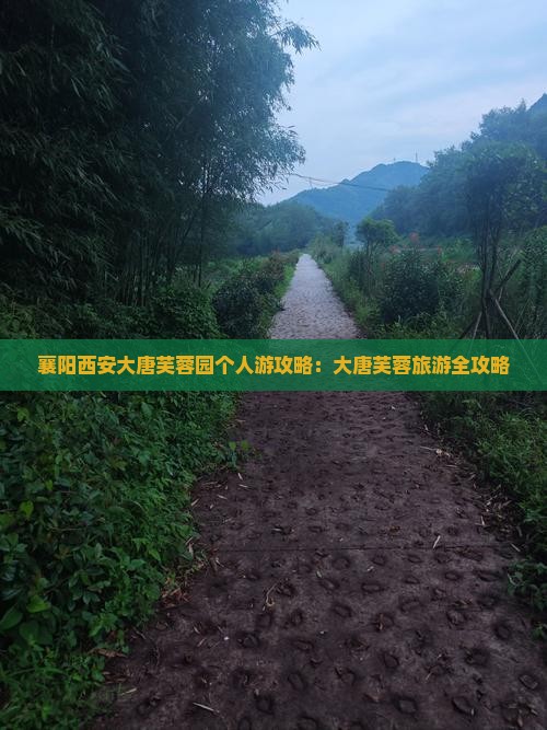 襄阳去西安大唐芙蓉园个人游