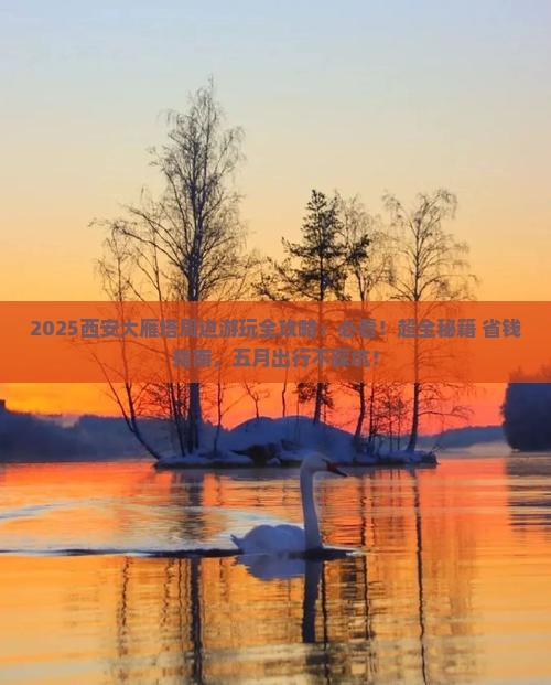 五月到西安大雁塔哪里玩
