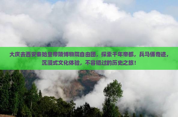 大庆去西安秦始皇帝陵博物院自由团