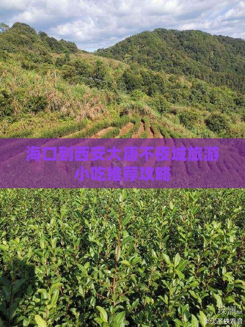 海口到西安大唐不夜城旅游小吃