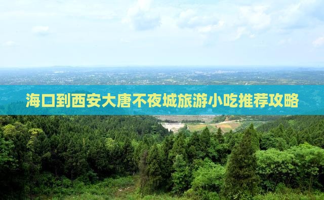 海口到西安大唐不夜城旅游小吃