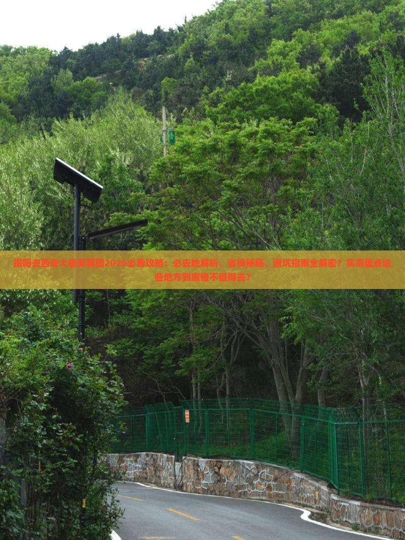 揭阳去西安大唐芙蓉园必去地
