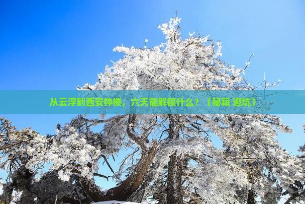 云浮去西安钟楼六日游