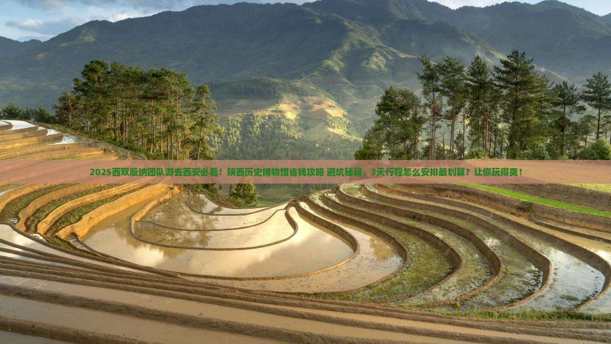 西双版纳去西安陕西历史博物馆团体旅游