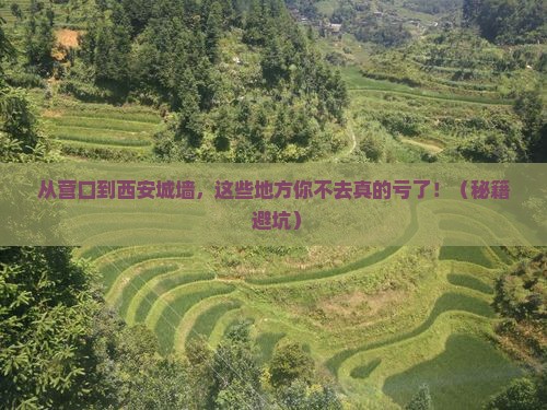 营口去西安城墙必去地