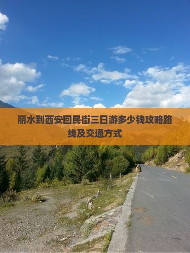 丽水到西安回民街三日游