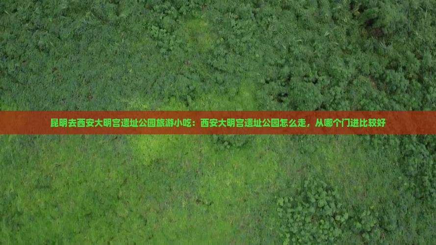 昆明去西安大明宫国家遗址公园旅游小吃