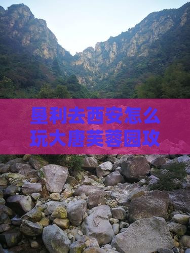 垦利去西安大唐芙蓉园旅游