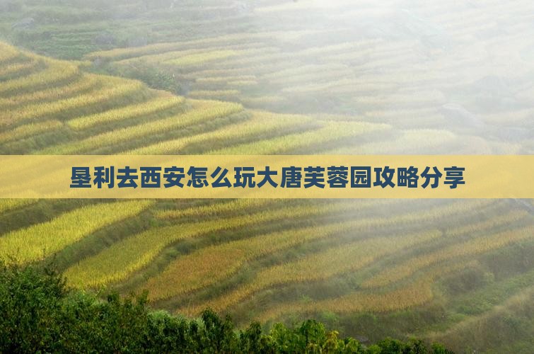 垦利去西安大唐芙蓉园旅游