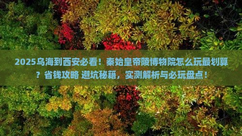 乌海到西安秦始皇帝陵博物院哪里玩