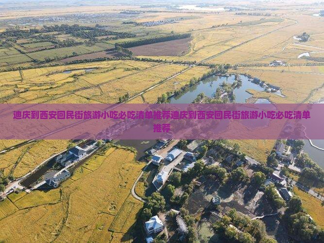 迪庆到西安回民街旅游小吃