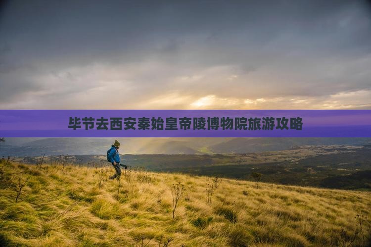毕节去西安秦始皇帝陵博物院旅游