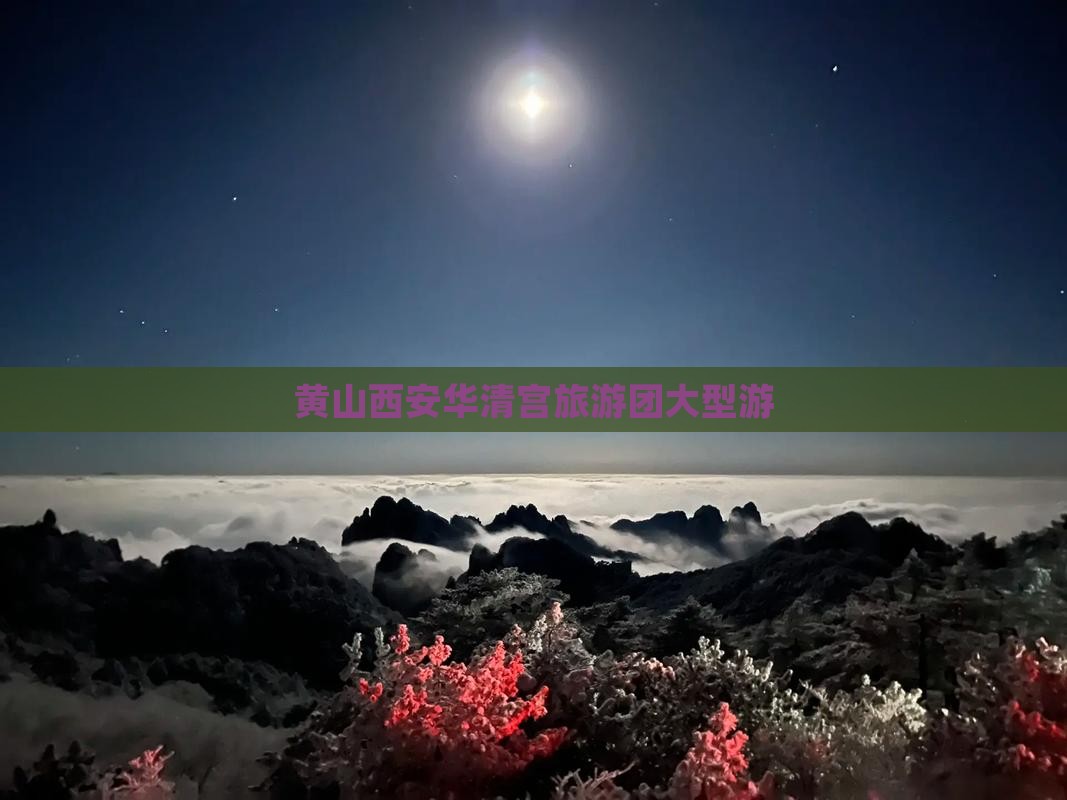 黄山去西安华清宫大型旅游团